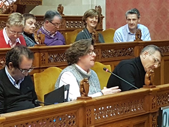 Catalina Cirer en el pleno del Consell