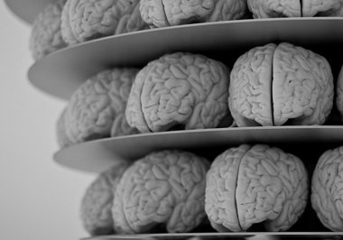 Foto: Consiguen reducir el daño neurológico del Alzheimer en ratones (FLICKR/NEIL CONWAY) 