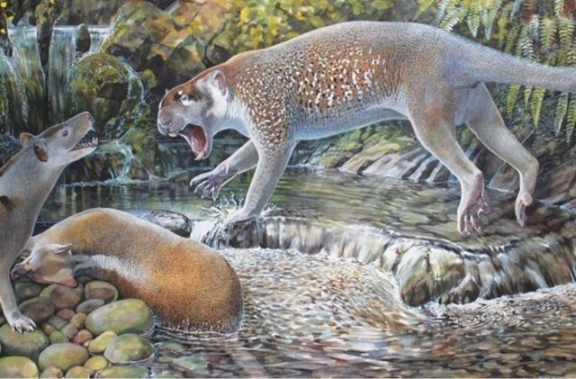 Ilustración de la especie de león marsupial extinta 'Wakaleo schouteni'