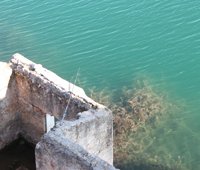 A información pública el borrador de la Orden de vedas de pesca para el año 2018 en C-LM