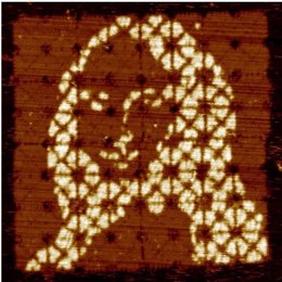 Mona Lisa reproducida sobre lienzo de ADN, vista al microscopio