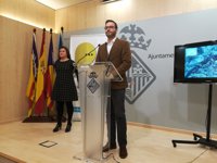 Cort y Consell piden a Red Eléctrica que cambie el trazado de torres de alta tensión de Son Puig y que asuma el coste