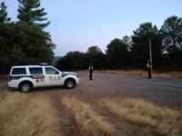 Levantadas cuatro actas de denuncia de protección de especies en Jaén en un operativo contra el furtivismo