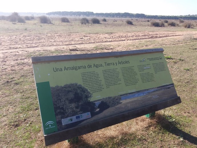 Imagen de la Dehesa de Abajo, en en entorno de Doñana