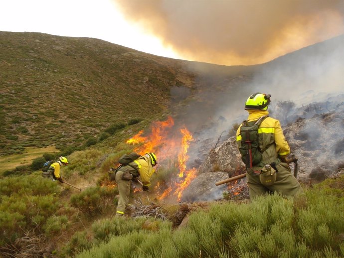 Brigada de Extinción de incendios BRIF del Magrama