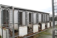 Diputación de Huelva anima a adoptar animales abandonados a través del refugio animal tras rescatar 670 desde enero