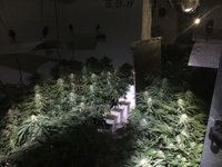 Descubren una plantación de marihuana en Pinos Puente (Granada) al ir a sofocar un incendio de vivienda