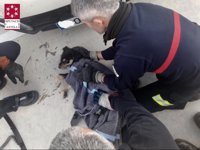 Bomberos rescatan a un perro atrapado en el parachoques de un coche tras sufrir un atropello en Càlig (Castellón)