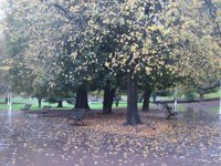 Previsiones meteorológicas del País Vasco para hoy, día 9