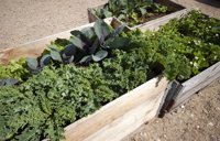 Empiezan las obras para la instalación de un huerto urbano en Chamberí, una propuesta de los presupuestos participativos