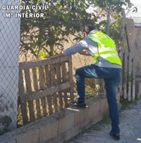 Un detenido y una persona huida tras 17 robos en el campo del poniente de Almería