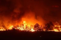 Los bomberos de California logran avances en su lucha contra los incendios forestales
