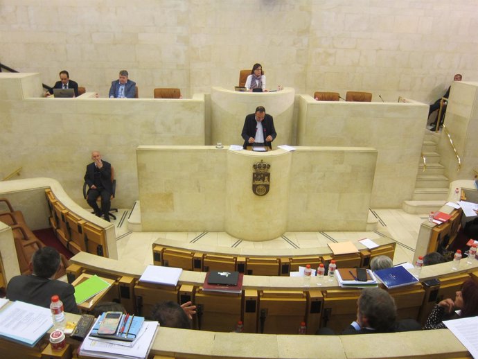                       Pleno Del Parlamento De  Cantabria          