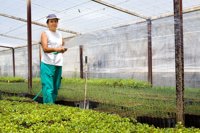 La superficie de invernadero en 2017 crece un 24% en la provincia de Sevilla y se mantiene estable en Cádiz