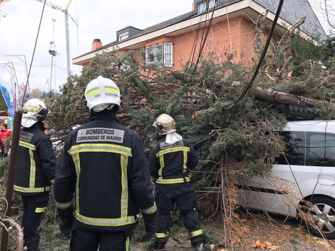 Cae un árbol sobre una furgoneta en Pozuelo