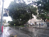 Emergencias 112 registra unas 40 incidencias en la provincia de Málaga por el fuerte viento