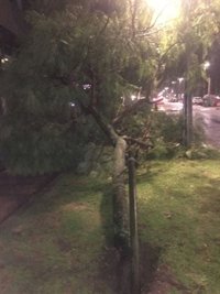 El viento alcanza 150 kilómetros por hora en Cedeira y Oia y la lluvia 177 litros por metro cuadrado en Ponte Caldelas