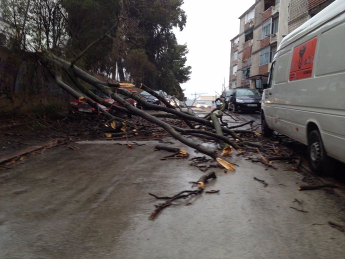 Efectos del temporal de viento y lluvia en Jaén.