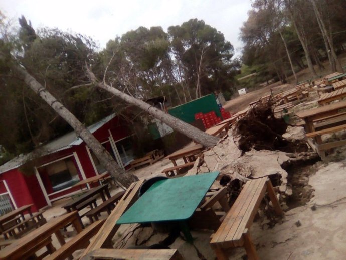 Caída de árboles temporal borrasca ANA