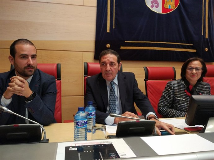 Sáez Aguado durante su comparecencia en las Cortes