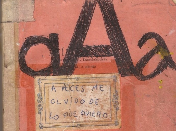 El festival de vídeo d'autor Flux apostarà per la diversitat de llengües