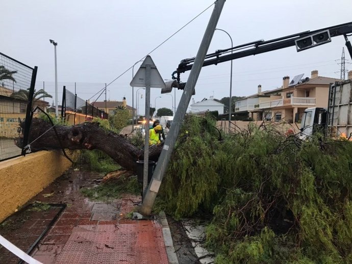 Incidencias por el viento y lluvia en Alhaurín de la Torre