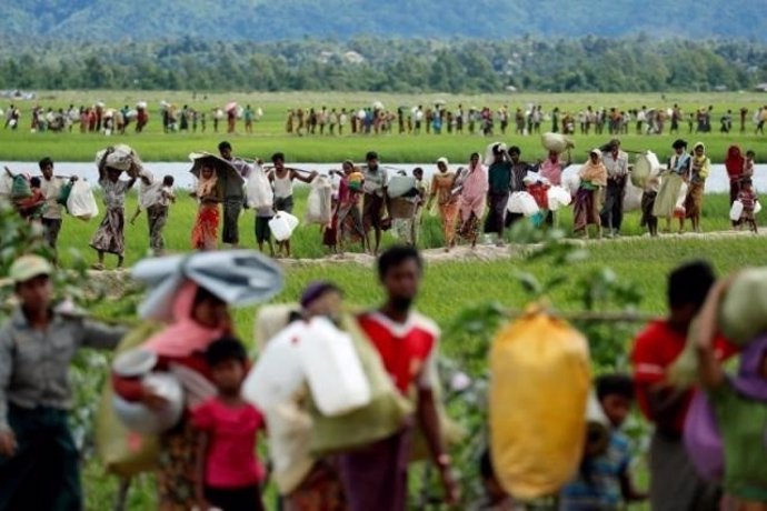 Refugiados rohingya campos de arroz