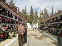 Canarias registra 559 defunciones más que nacimientos en el primer semestre