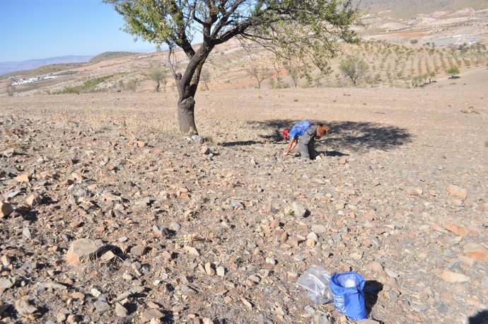 Trabajos geoarqueológicos en el Parque Natural de Sierra de Baza