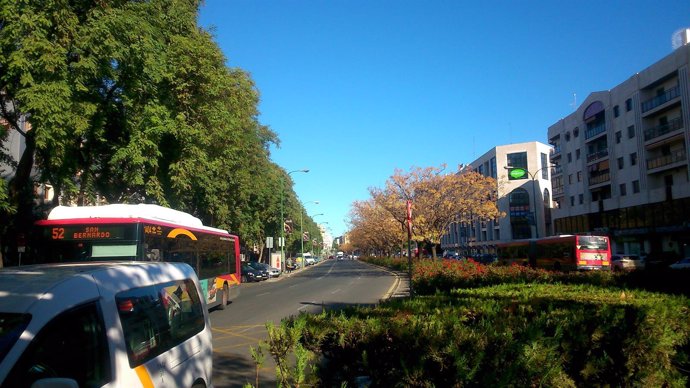 Avenida de San Francisco Javier.