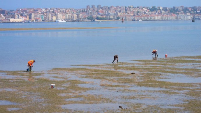 Mariscadores