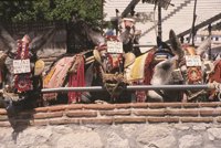 Más de 50 empresas e instituciones se suman al Plan Japón, creado para posicionar la Costa del Sol en este mercado