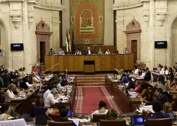 Pleno del Parlamento andaluz durante la lectura de la declaración institucional