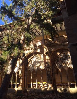 El árbol se ha caído sobre uno de los laterales del claustro de Veruela