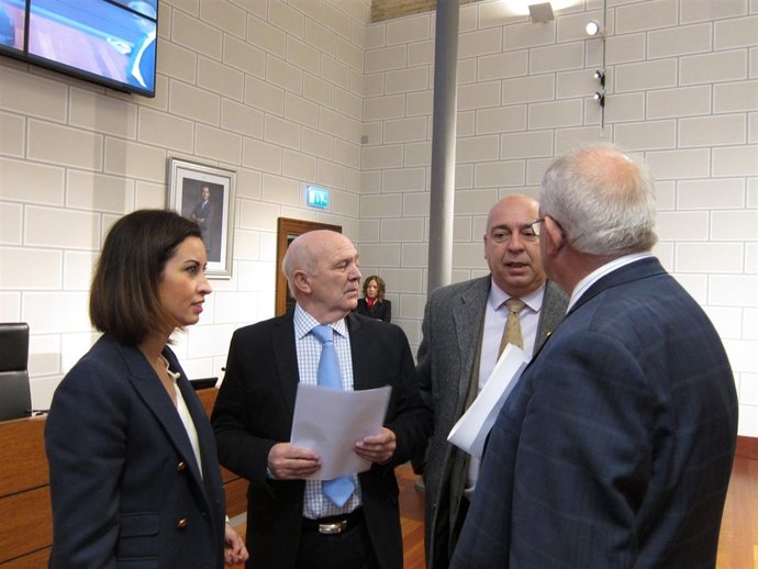 Martín Llanas y Teresa Ladrero hablan con diputados del PSOE antes del pleno