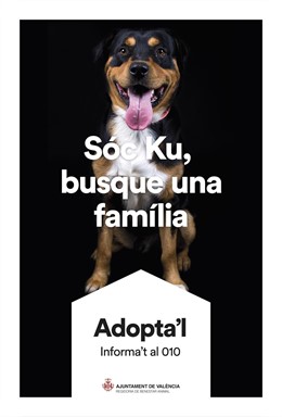 Campaña de adopción de animales Ayuntamiento de València