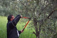 La Obra Social La Caixa dedica 90.000 euros a integración laboral en zonas rurales de Lleida