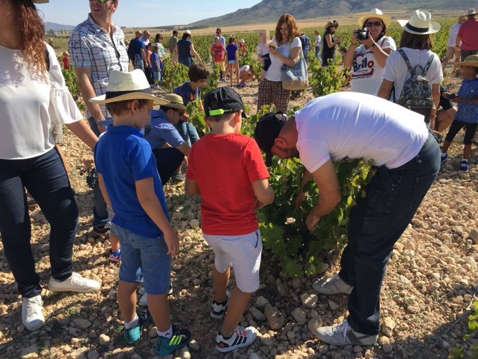 Imagen de la actividad 'Vendimia en Familia'