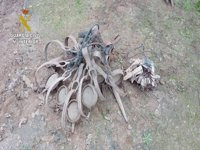 Realizadas inspecciones en Ourense en una operación en 24 provincias por uso ilegal de venenos para la caza