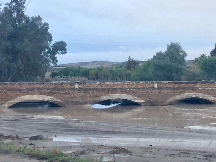 Efectos de las lluvias de noviembre en La Puebla de Cazalla (Sevilla)