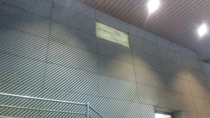 Imagen de la lámina desprendida