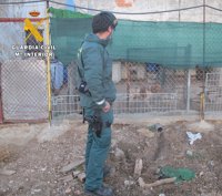 Descubierto un centro canino clandestino de hospedaje de perros