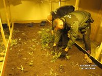 Descubierta una plantación de marihuana dentro de una nave industrial del polígono de Villares (Salamanca)