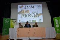 Arroceros instan a la UE a establecer un contingente que limite la entrada de arroz de terceros países