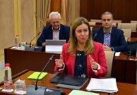 PP-A acusa a Susana Díaz de dar un "cerrojazo" a diez centros de formación para el empleo que la Junta niega