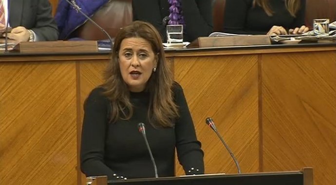 La consejera de Educación en el Pleno del Parlamento