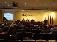 La CHS presenta ante el Consejo del Agua de la demarcación el nuevo Plan Especial de Sequía del Segura