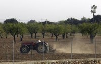 Amics de la Terra muestra su apoyo a la nueva Ley Agraria del Govern 