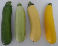 Asocian compuestos del calabacín amarillo con la muerte de células tumorales