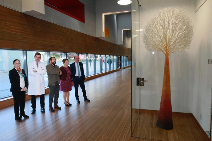 Nueva escultura en el hall de Valdecilla 